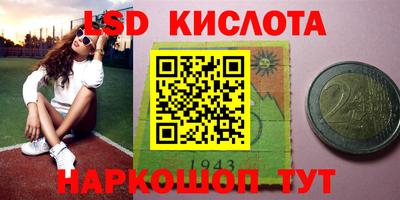 прущие крисы Кандалакша