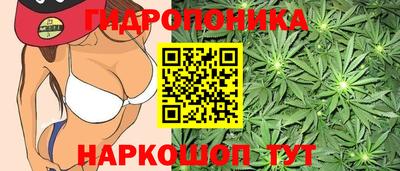 индика Канаш